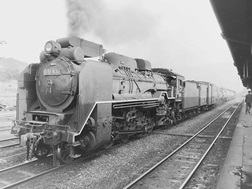 第27回 D51形蒸気機関車（日本） | いちかわのWorld Railway | 天賞堂 